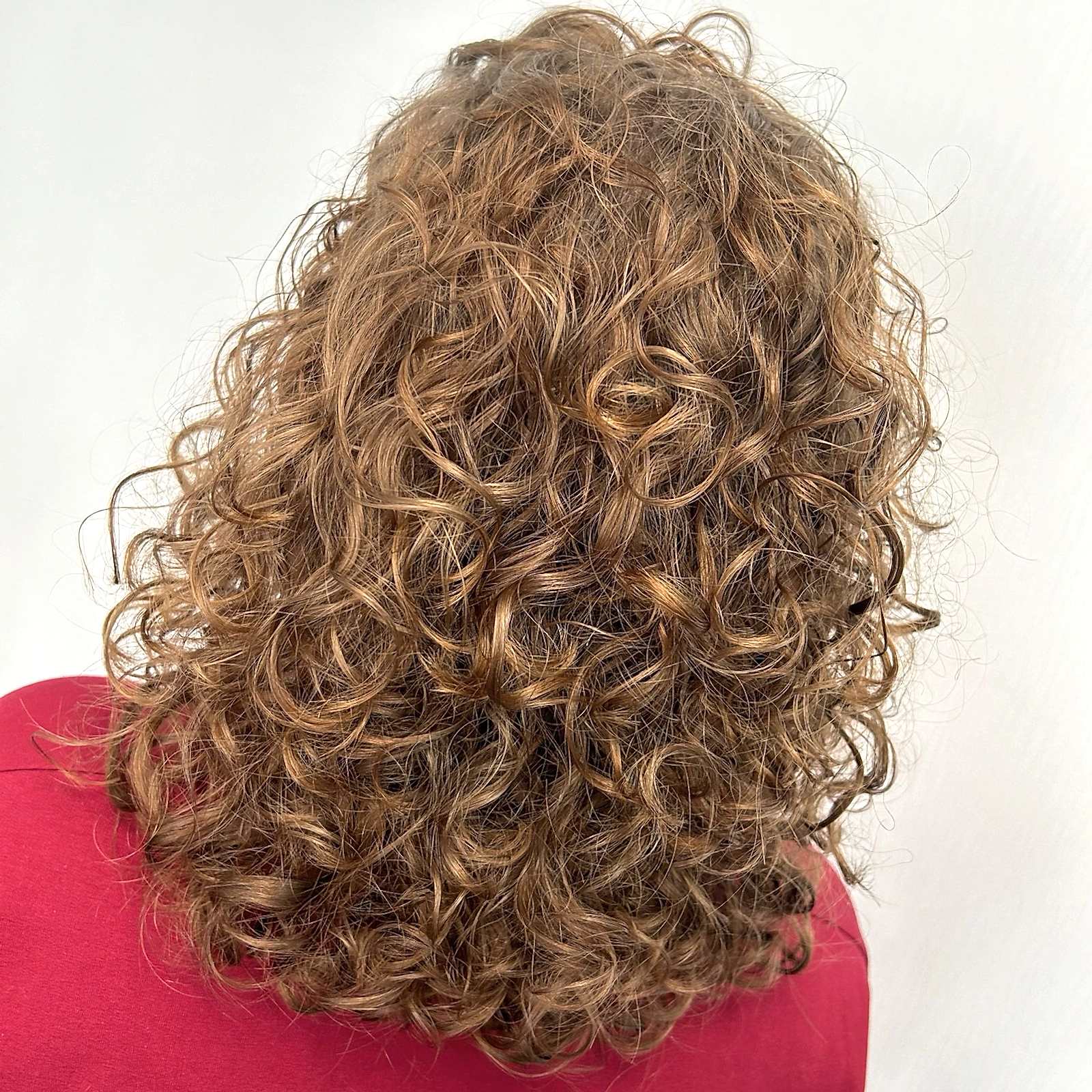 91d3005f-cffe-4272-9aed-f5c97b9eee3b